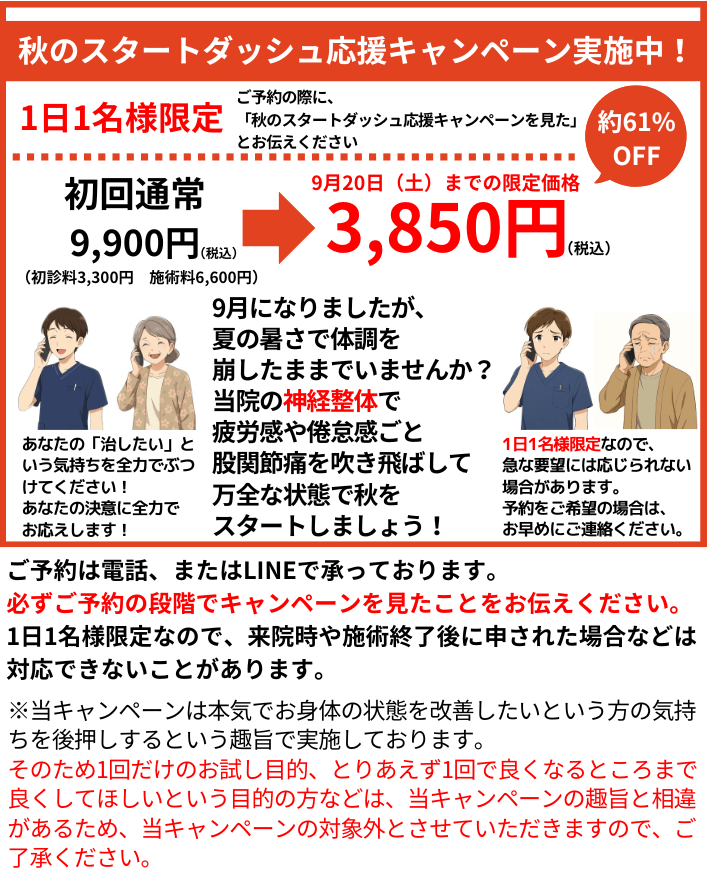 キャンペーン情報